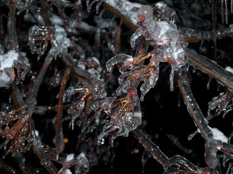 Frozen nature Stock Photos