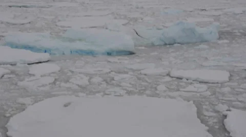 Frozen ocean in Antarctic 스톡 동영상 33579240