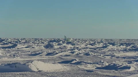 Frozen ocean. 動画素材 194050146