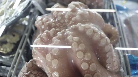 Frozen octopus packed in plastic and displayed in a supermarket seafood freezer Stock Footage 346166008