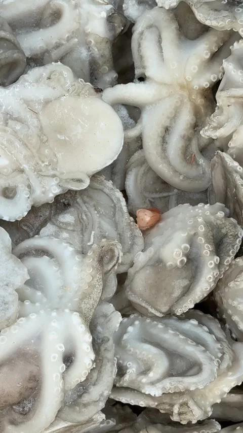 Frozen octopus tentacles with visible suction cups and intricate textures, .. Stock Footage 317245302