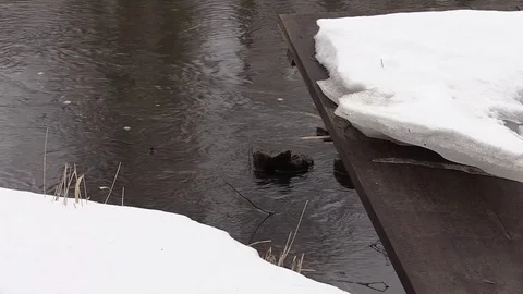 Frozen old pier at river side in winter time Stock Footage 73680974