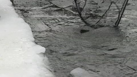 Frozen outdoor pool in winter Stock Footage 169753693