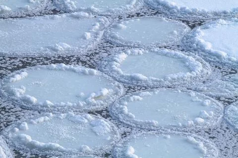 Frozen pancake ice Stock Photos