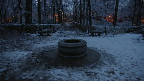 Frozen park in the blue hour Stock Footage 149823625