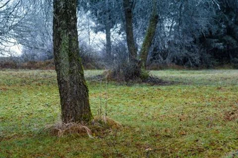 Frozen park Stock Photos