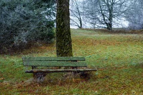 Frozen park Stock Photos