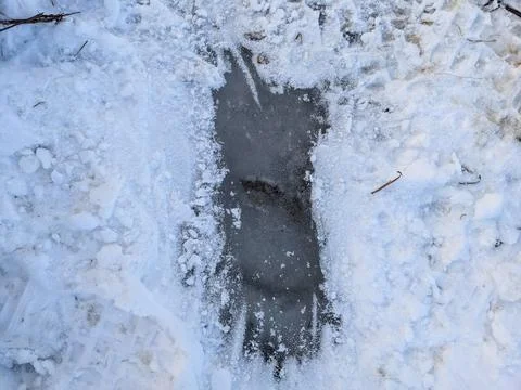 Frozen patch of thick gray ice exposed under snow 스톡 사진