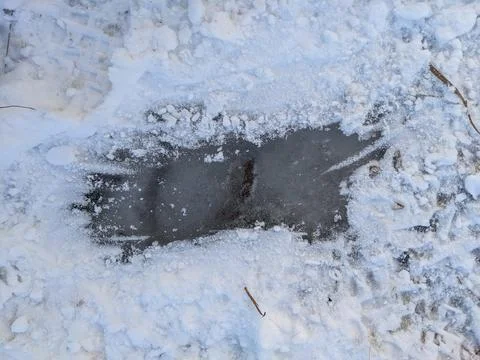 Frozen patch of thick gray ice exposed under snow 스톡 사진