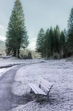 Frozen path and bench Stock Photos