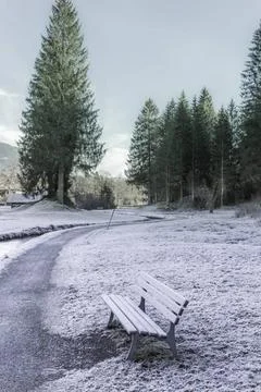Frozen path and bench Winter image with an alley and a wooden bench, cover... Stock Photos