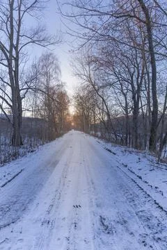 Frozen path and winter sunset Stock Photos