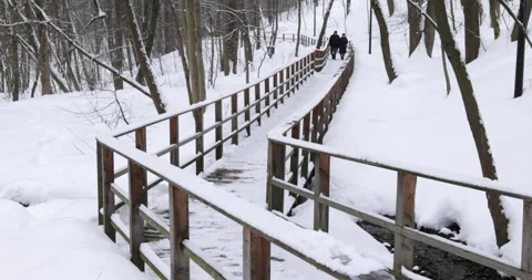 A frozen path winds through a snowy forest Stock Footage 265672873