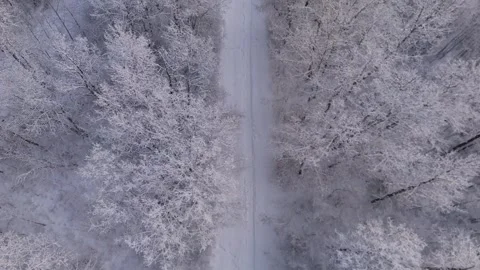 Frozen Pathway On the River Vallery Vídeo Stock 330900937