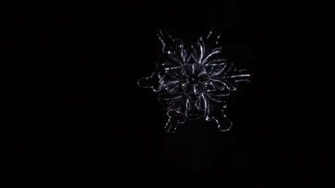 Frozen pattern cover the dark background from left to right Stock Footage 72751188