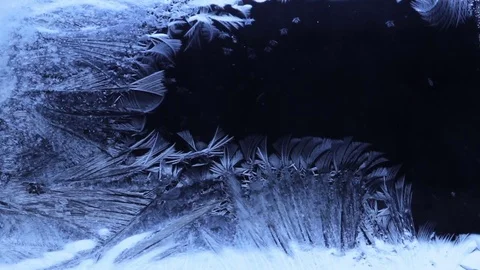 Frozen pattern cover the dark background from left to right Stock Footage 73543254