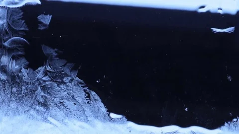 Frozen pattern cover the dark background Stock-Footage 73590016