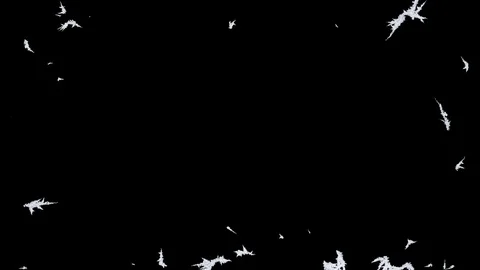 Frozen pattern cover the dark background from outside to center 動画素材 112881572