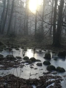 In  frozen pieces  reflexion Foto stock