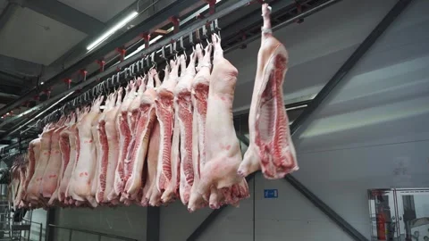 Frozen pig half carcasses without head unloaded into freezer. Pork halves Stock Footage 282814990