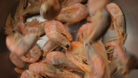 Frozen pink shrimps falling down in plate Video stock 300857233
