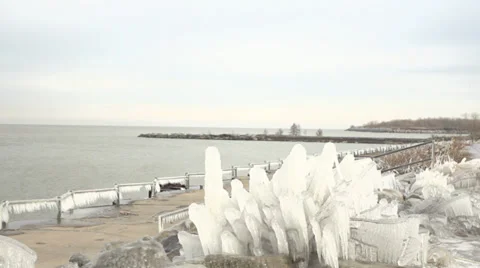 Frozen plants covered by ice near the lake Stock Footage 33237004