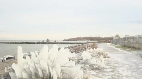 Frozen plants covered by ice near the lake Stock Footage 33237376