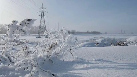 Frozen plants swaying in the background of power stations Video stock 71614565