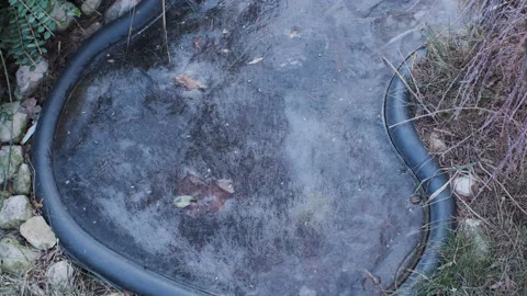 Frozen plastic pond in the garden on backyard Stock Footage 169044720
