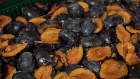 Frozen plum half plums background close up video Stock Footage 279996780