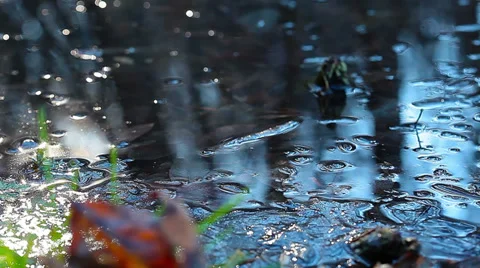 Frozen pond. 4K. FULL HD, 4096x2304. Video stock 36817289