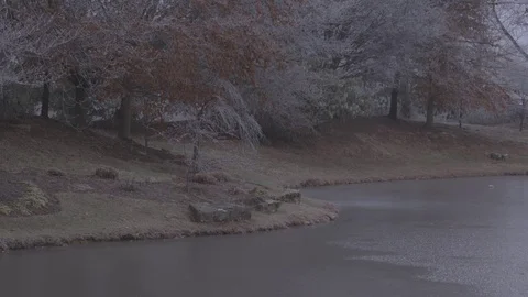Frozen pond and trees Stock Footage 76327049