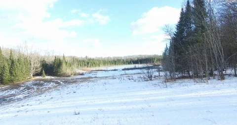 Frozen Pond Dolly DJI Stock Footage 87554322
