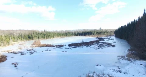 Frozen Pond Dolly DJI Stock Footage 87554502