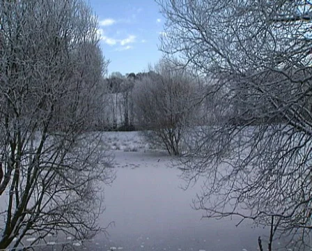 Frozen Pond Stock Footage 605167