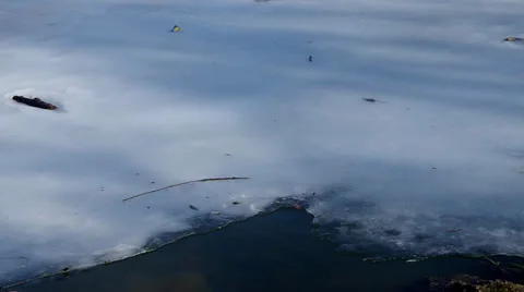 Frozen pond Stock Footage 35069673