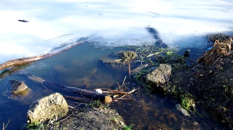 Frozen pond Stock Footage 35117290