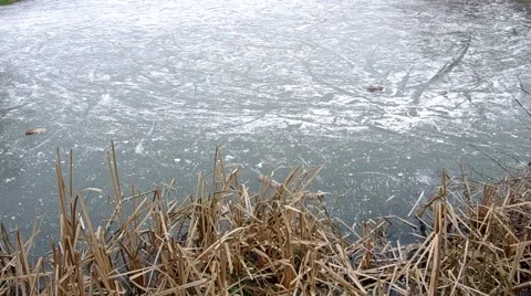 Frozen pond Stock Footage 45544375