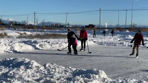 Frozen Pond Stock Footage 167775160