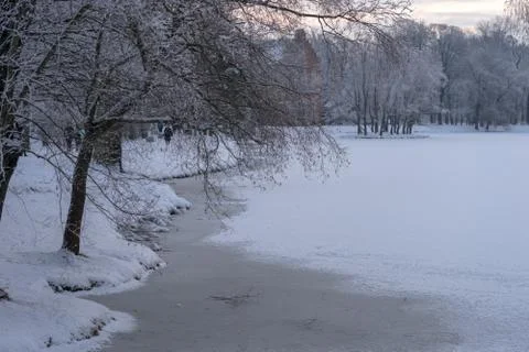 The frozen pond in the park during winter everning Stock Photos