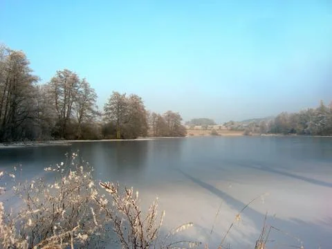 Frozen pond Foto stock