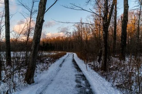 A frozen Pond Stock Photos