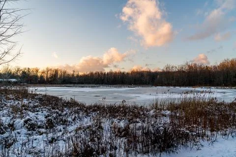 A frozen Pond Stock Photos