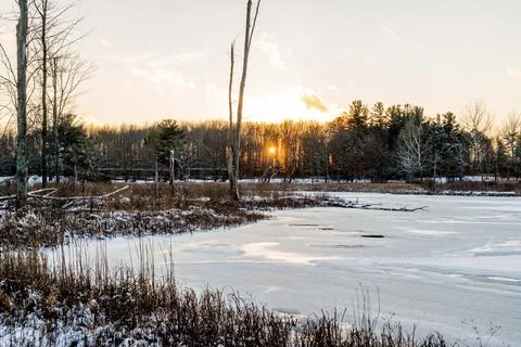 A frozen Pond Stock Photos