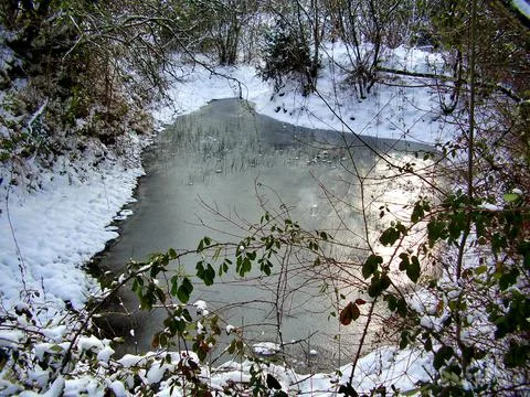 Frozen Pond. Stock Photos