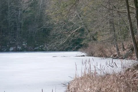 Frozen pond scene Stock Photos