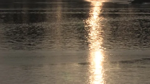 Frozen Pond at Sunset Stock Footage 1269960