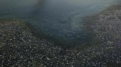 Frozen Pond Surface Covered Stock Photos