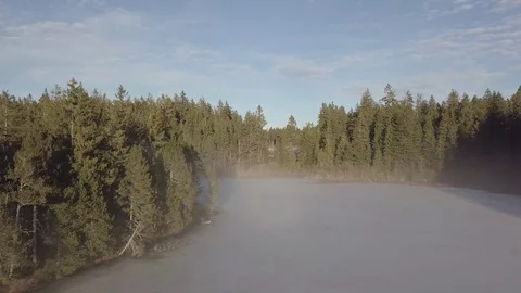 Frozen pond surrounded by forest in Switzerland Stockbeeldmateriaal 123710844