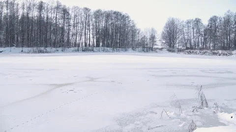 Frozen pond in winter Stock Footage 248081616